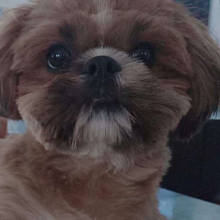 Mingkay1 Profile Picture