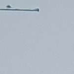 mailliw zetroc profile picture