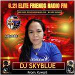 Djskybue profile picture
